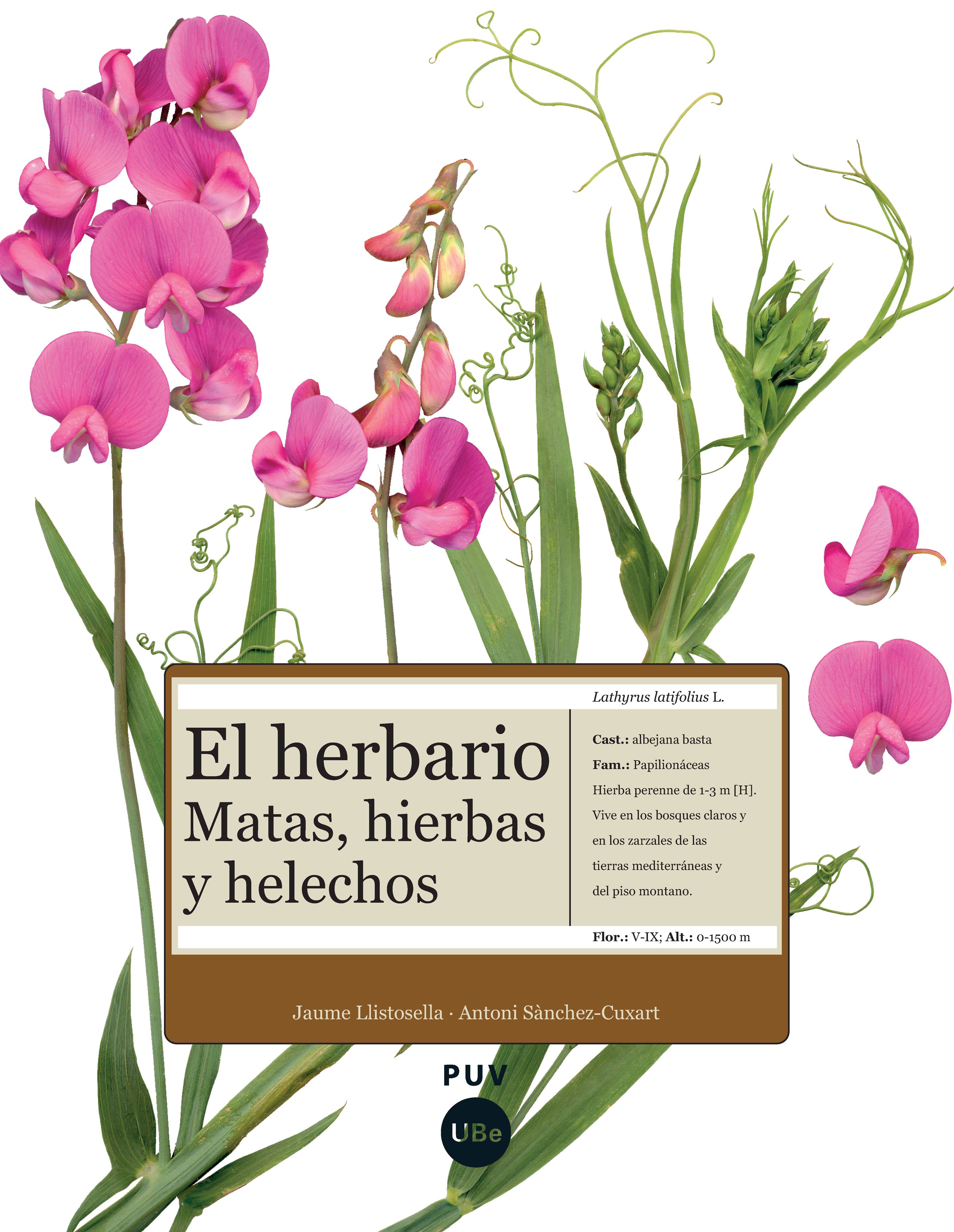 El herbario: matas, hierbas y helechos