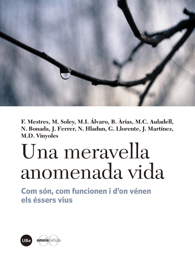 Una meravella anomenada vida