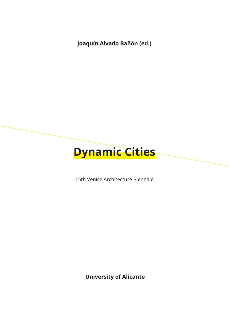 Dynamic Cities