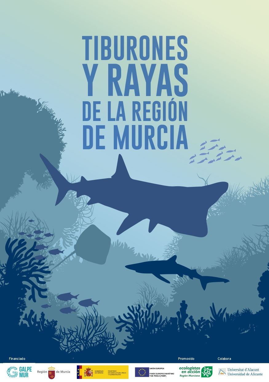 Tiburones y rayas de la región de Murcia