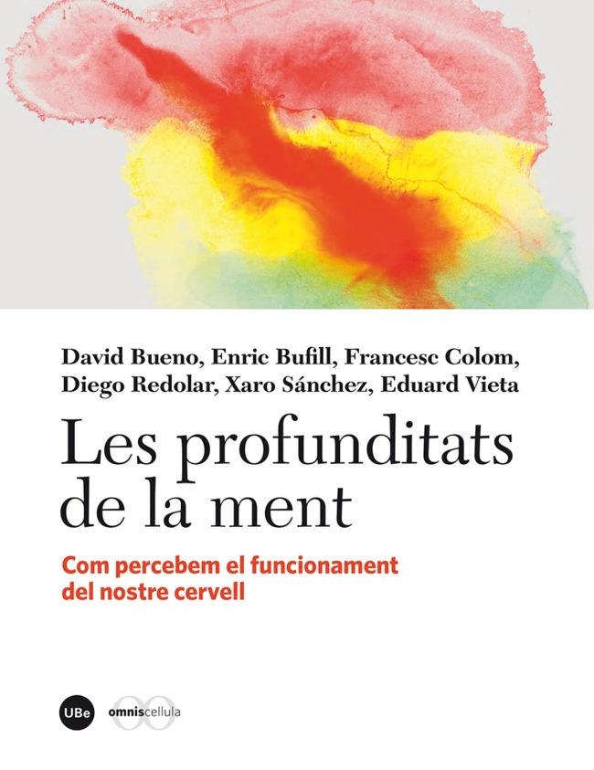 Profunditats de la ment, Les. Com percebem el funcionament del nostre cervell (eBook)