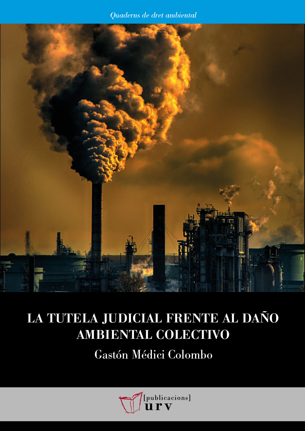 La tutela judicial frente al daño ambiental colectivo