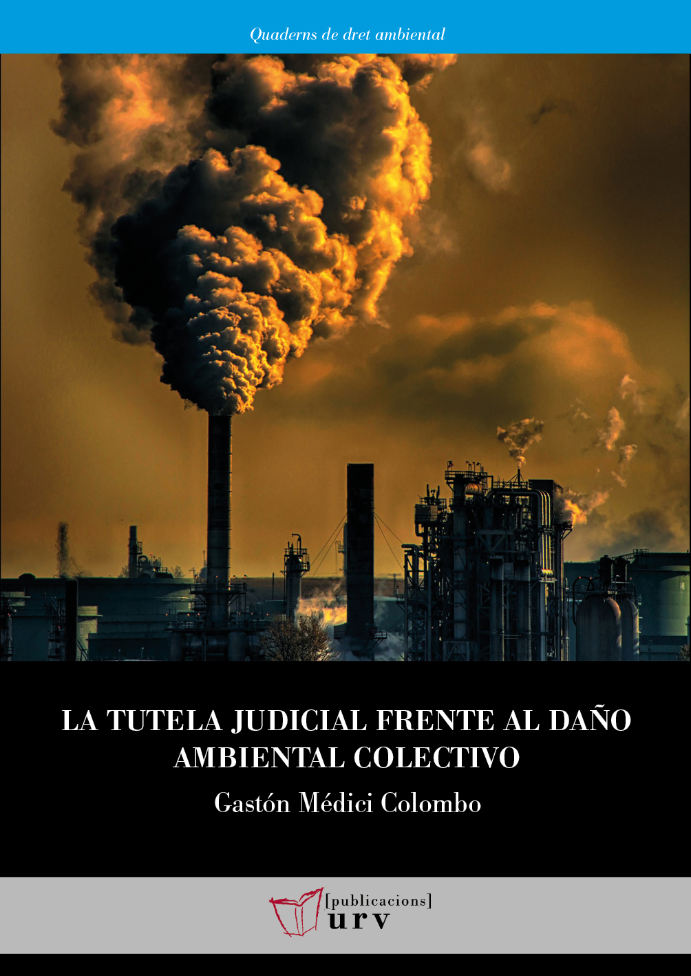La tutela judicial frente al daÃ±o ambiental colectivo