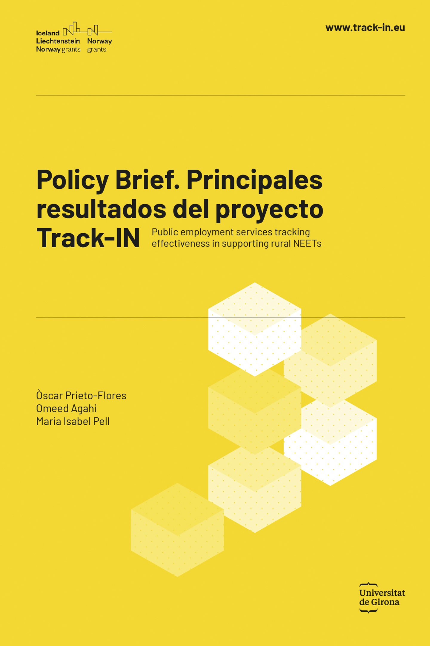 Policy Brief. Principales resultados del proyecto TR@CK-IN: Public Employment Services Tracking Effectiveness in Supporting Rural NEETs