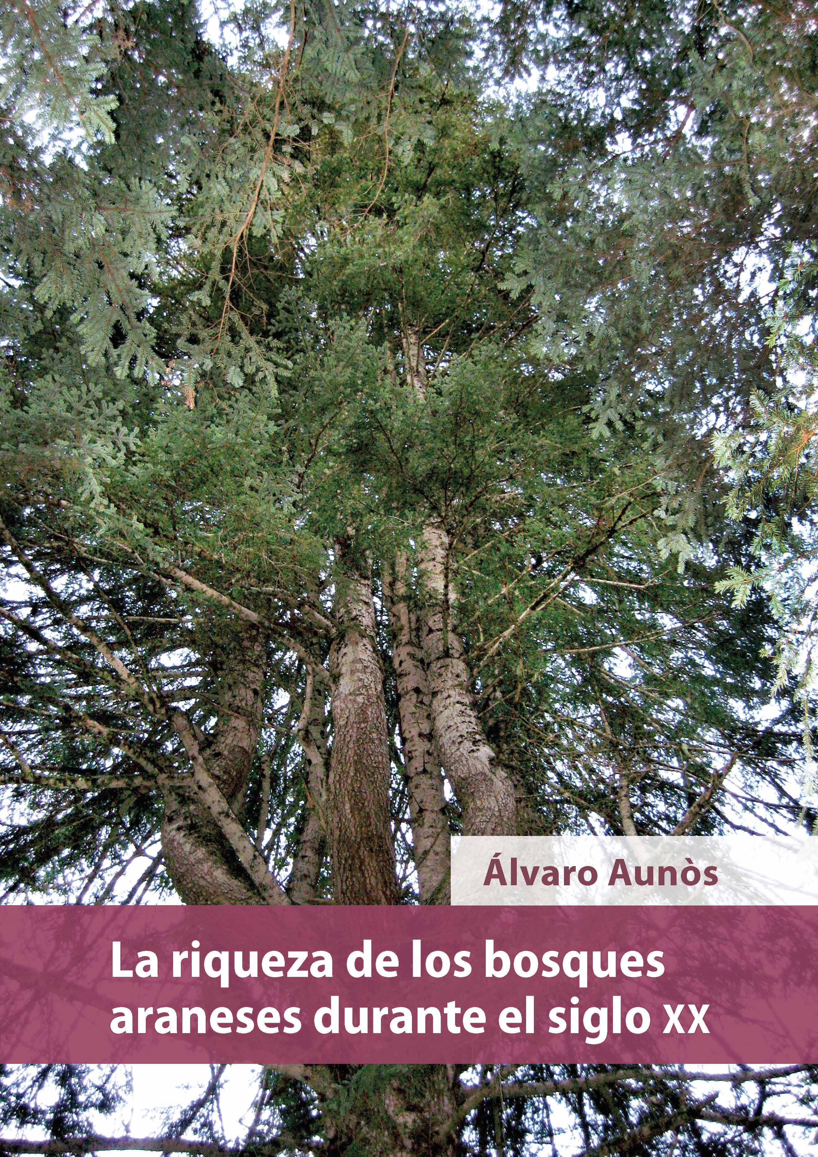 La riqueza de los bosques araneses durante el siglo XX