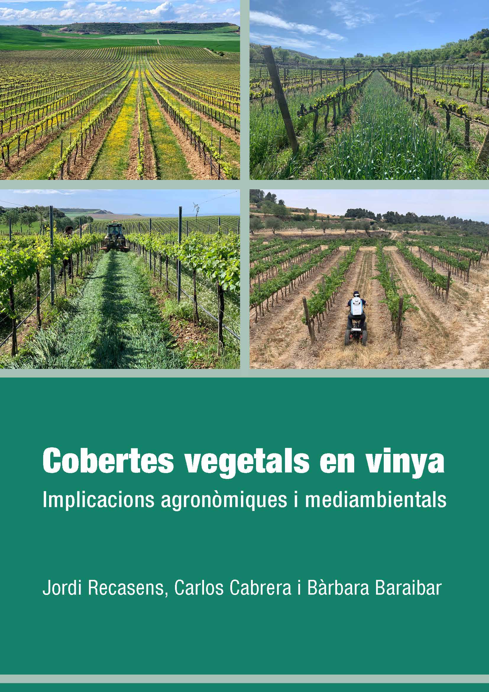 Cobertes vegetals en vinya