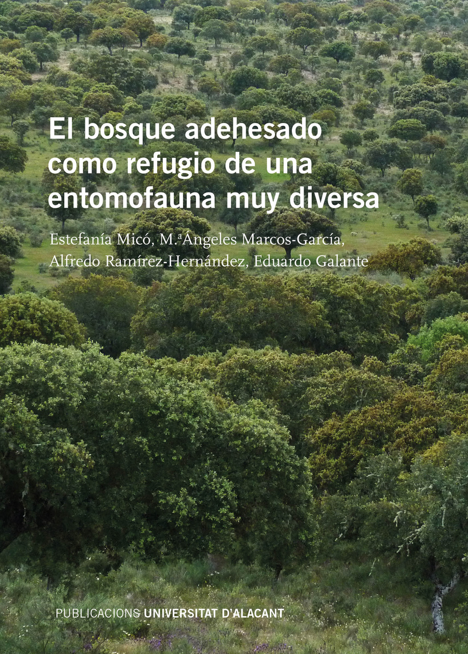 El bosque adehesado como refugio de una entomofauna muy diversa