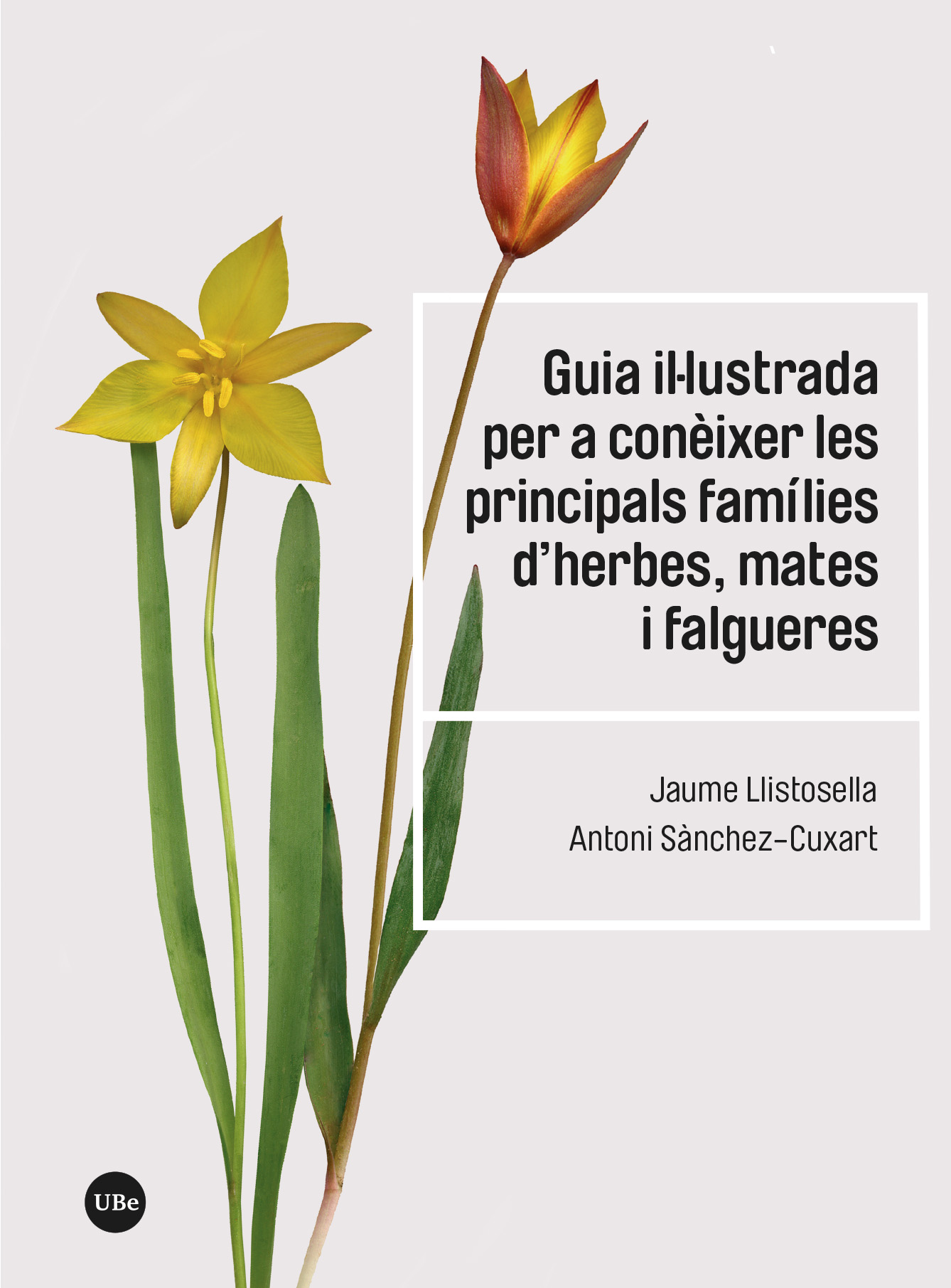 Guia il·lustrada per a conèixer les principals famílies d’herbes, mates i falgueres