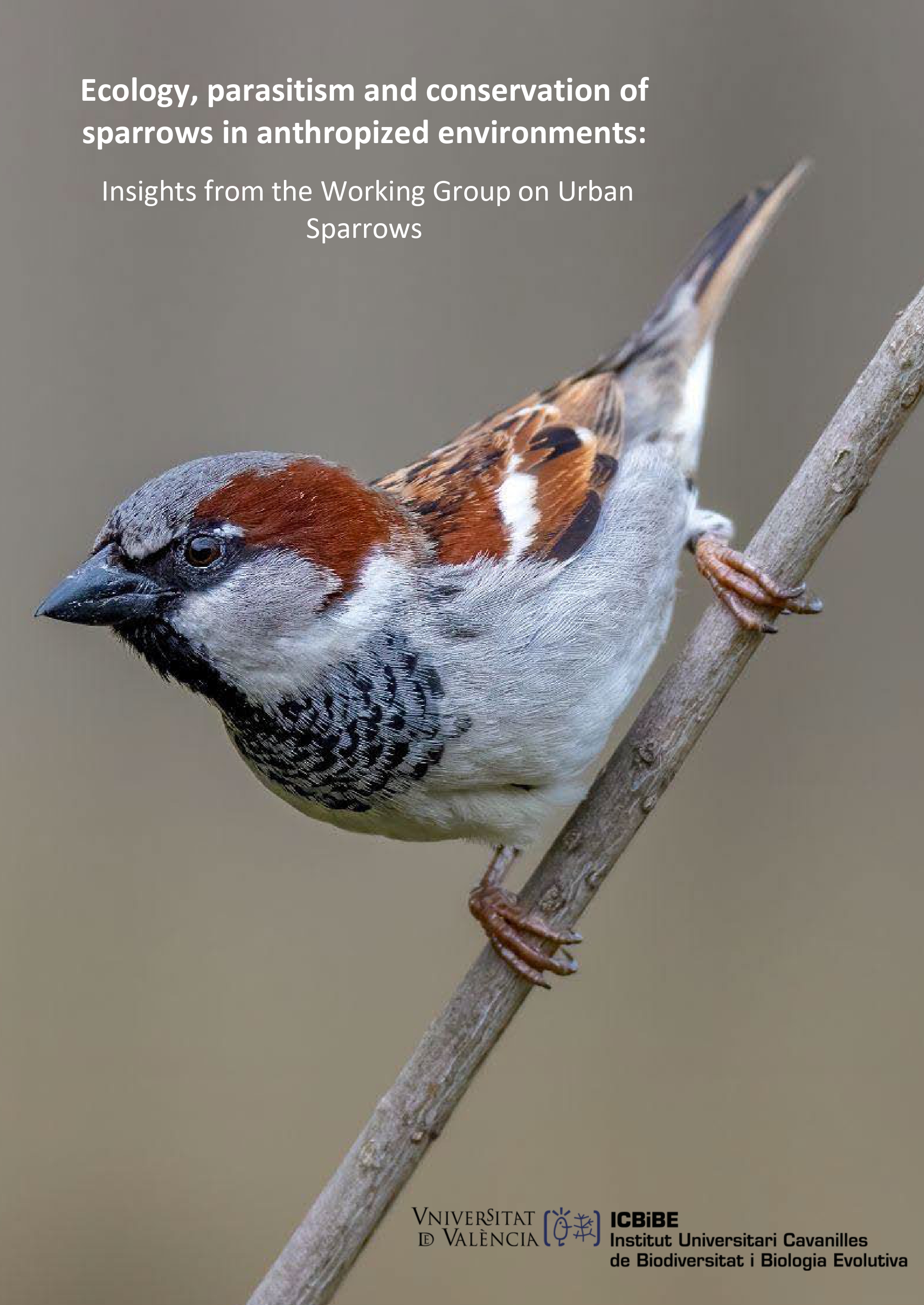 Ecology, parasitism and conservation of sparrows in anthropized environments